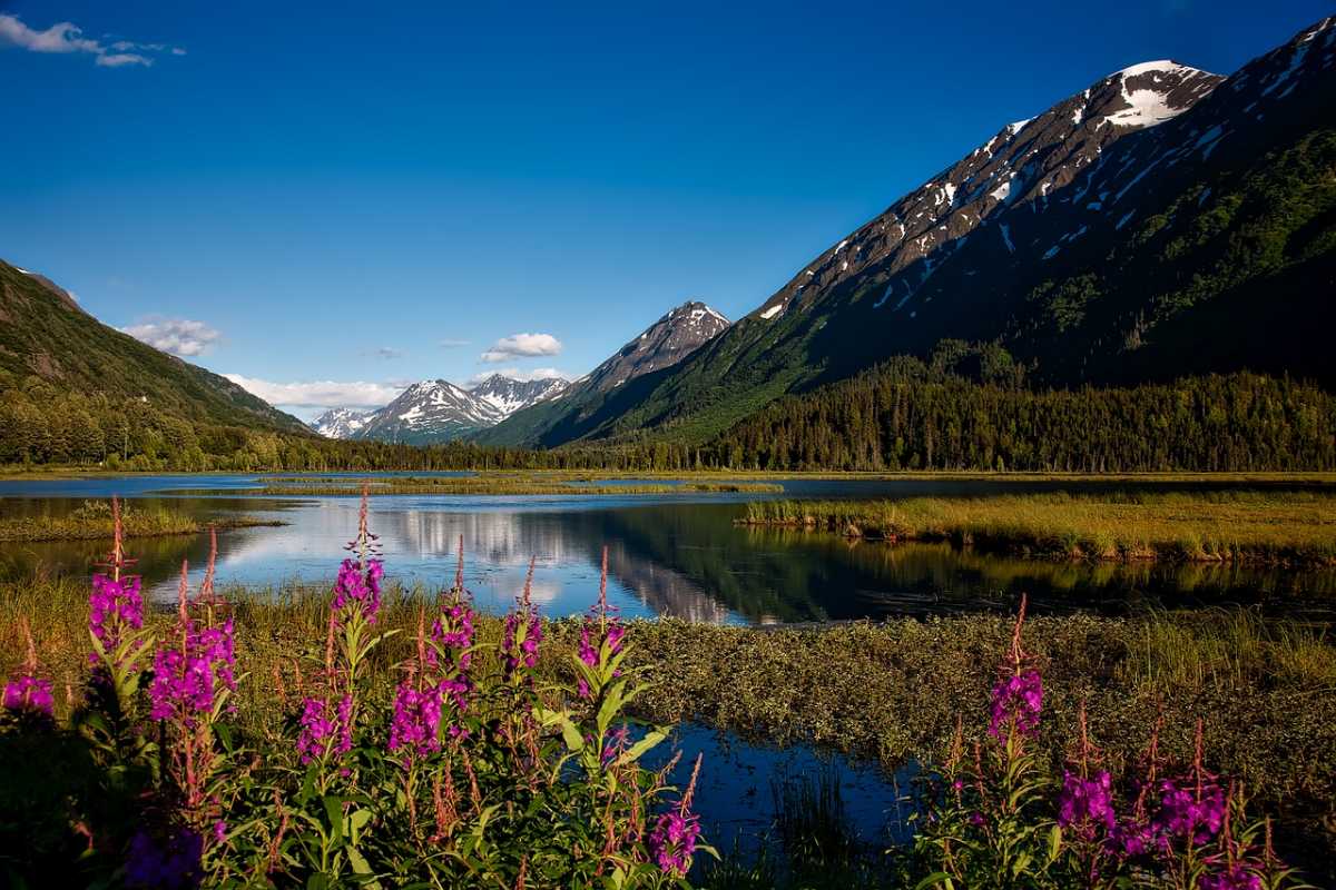 Valley of Flowers